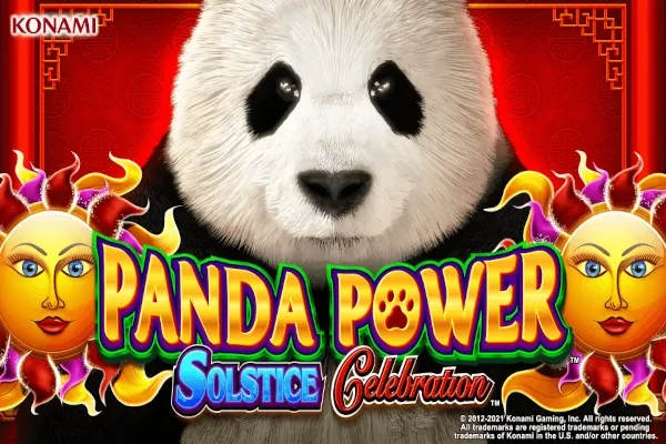 Panda Power Solstice Celebration